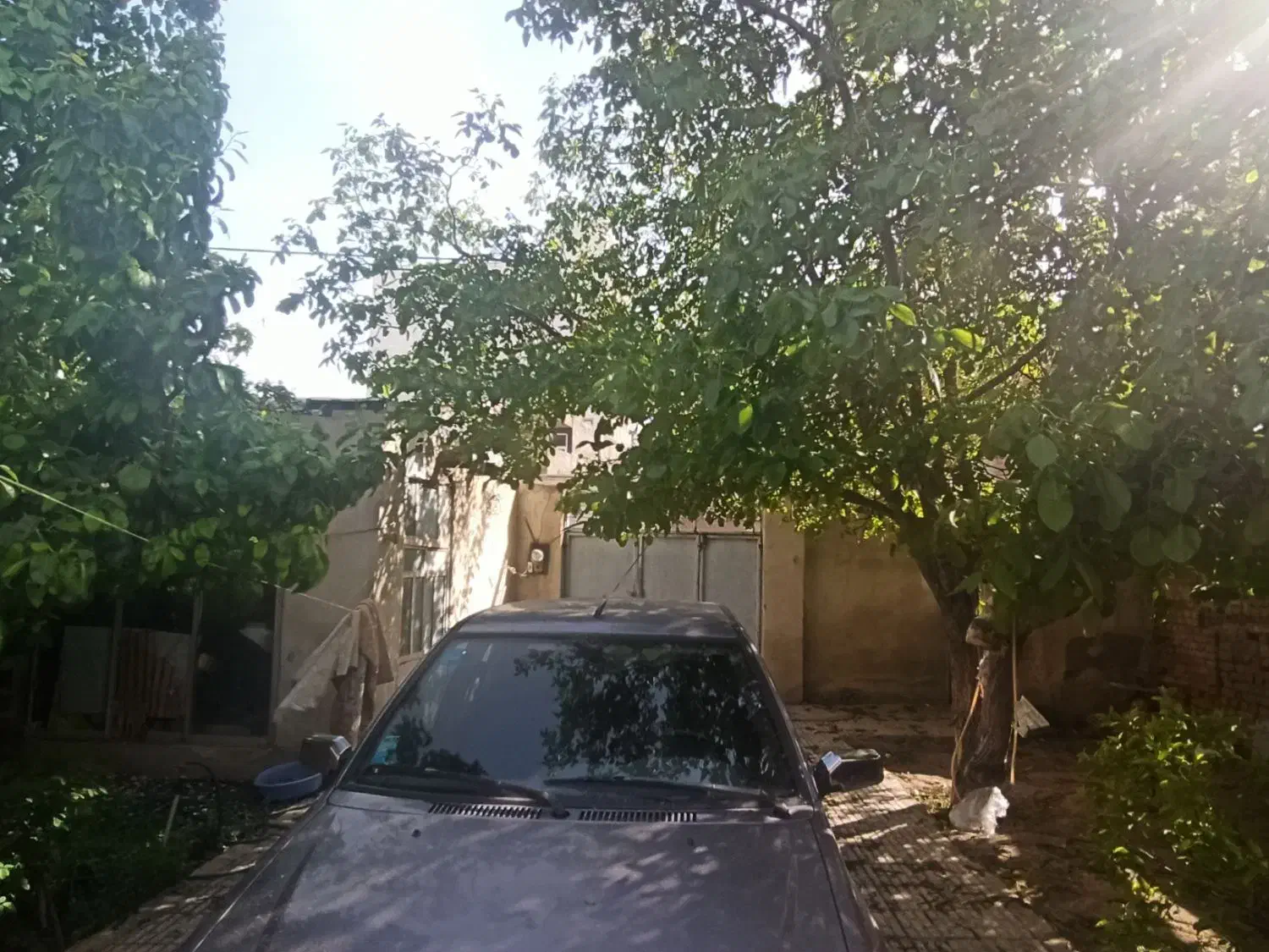 اجاره خانه رحیم طیار