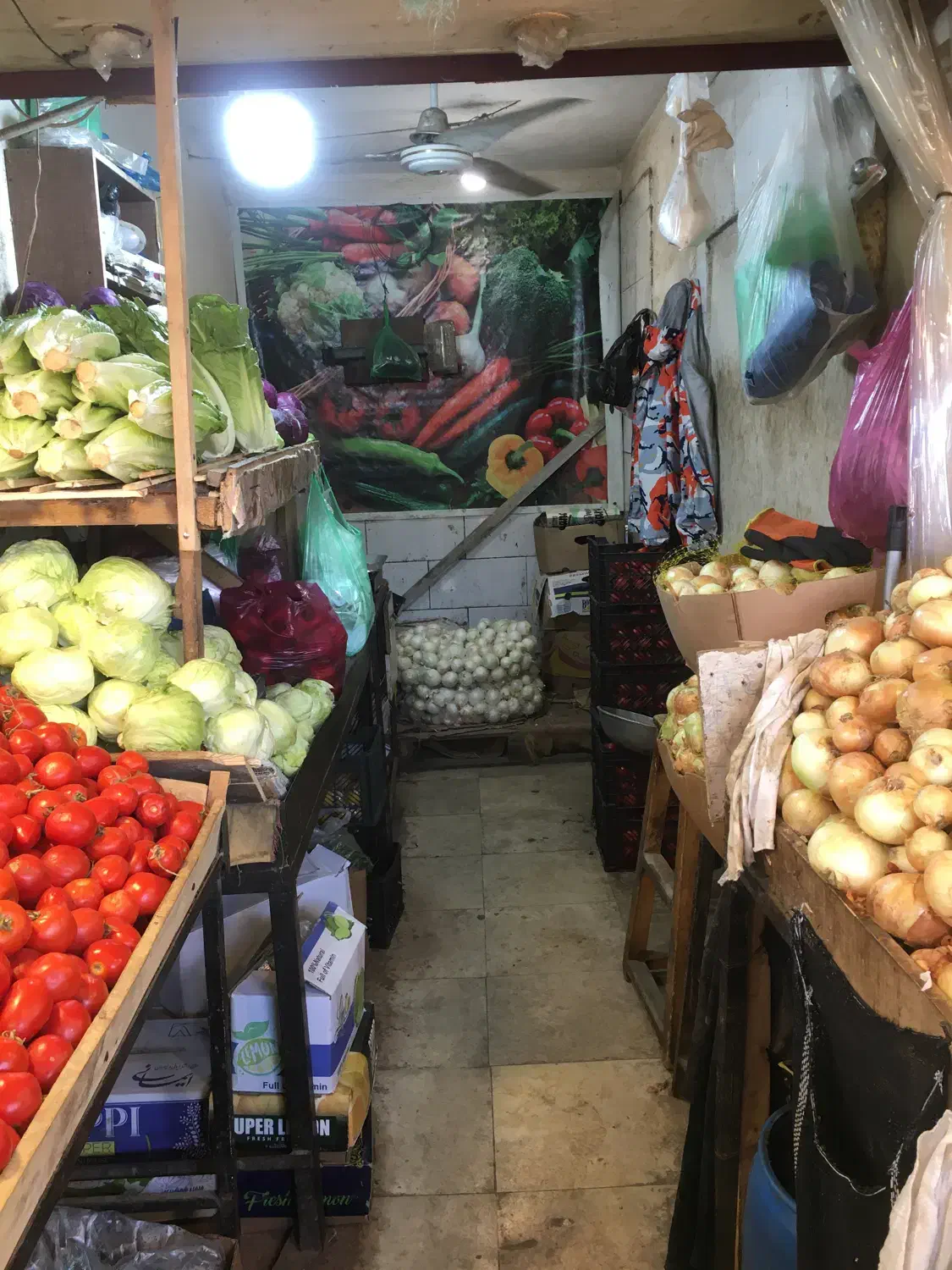 مغازه تجاری بازار میوه چالوس