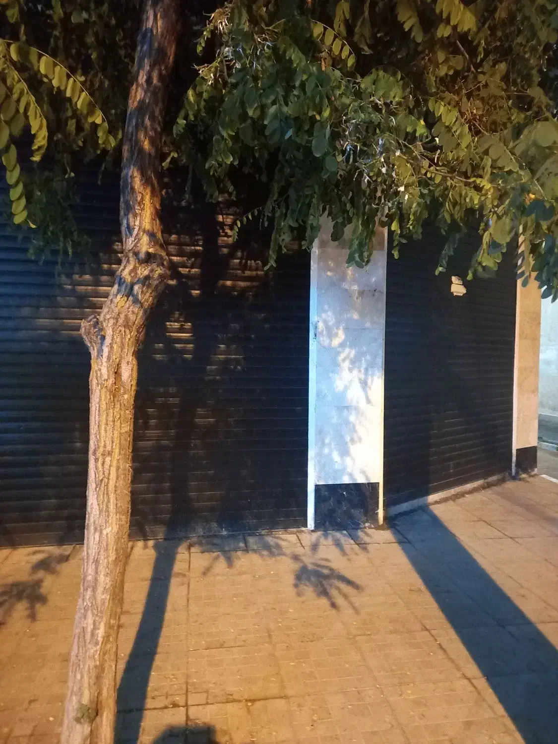 مغازه فروشی تجاری