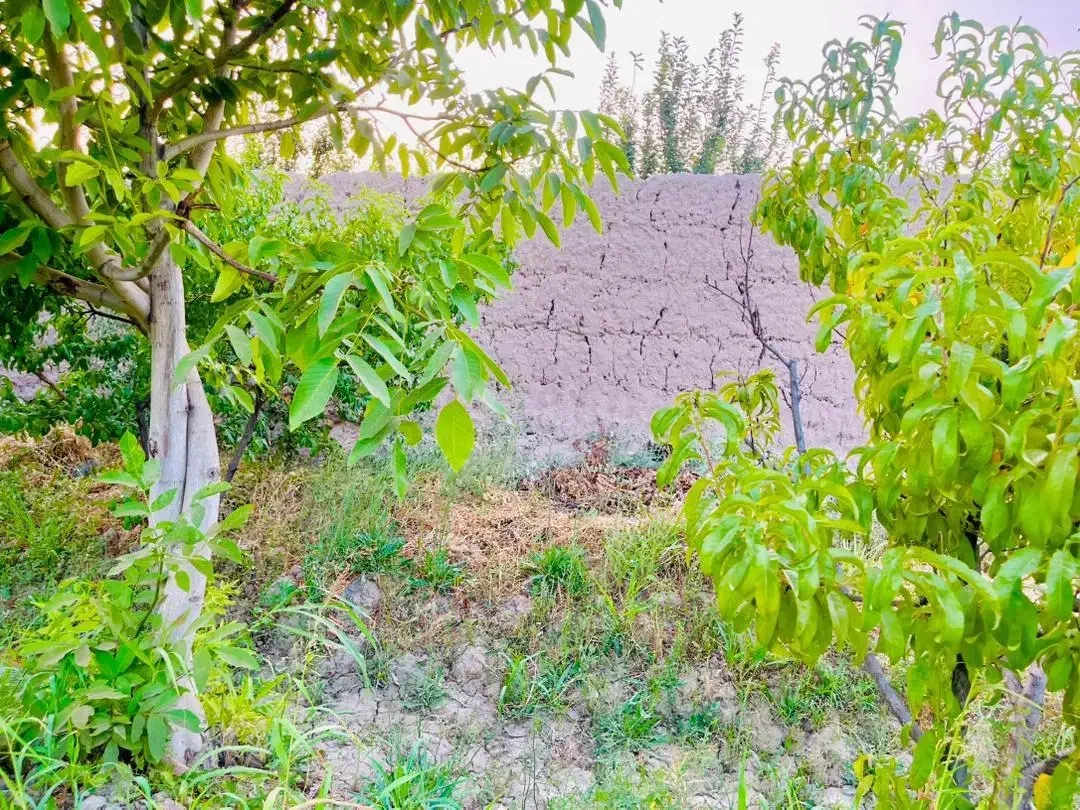 چهاردیواری دیوار گلی ۶۰ ساله