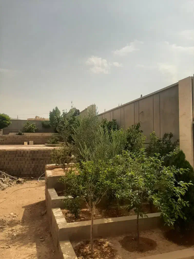 زمین مشاع ۲۵۰ متری