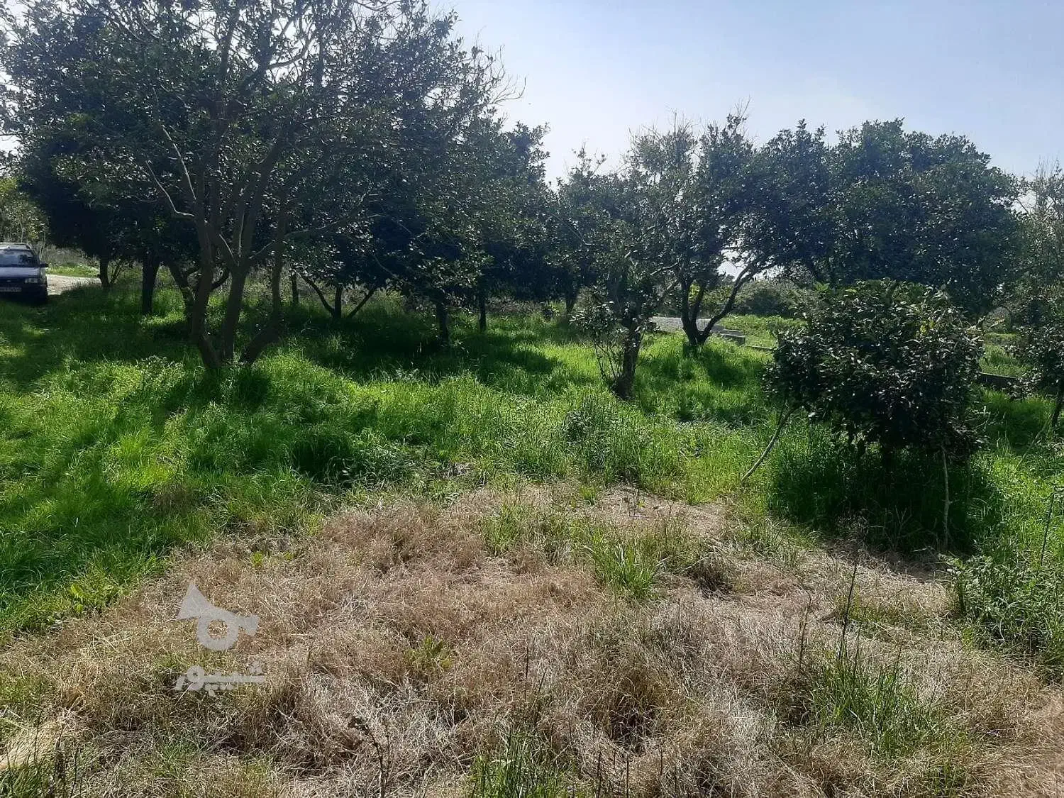 باغ و زمین کشاورزی روستای قره کهریز