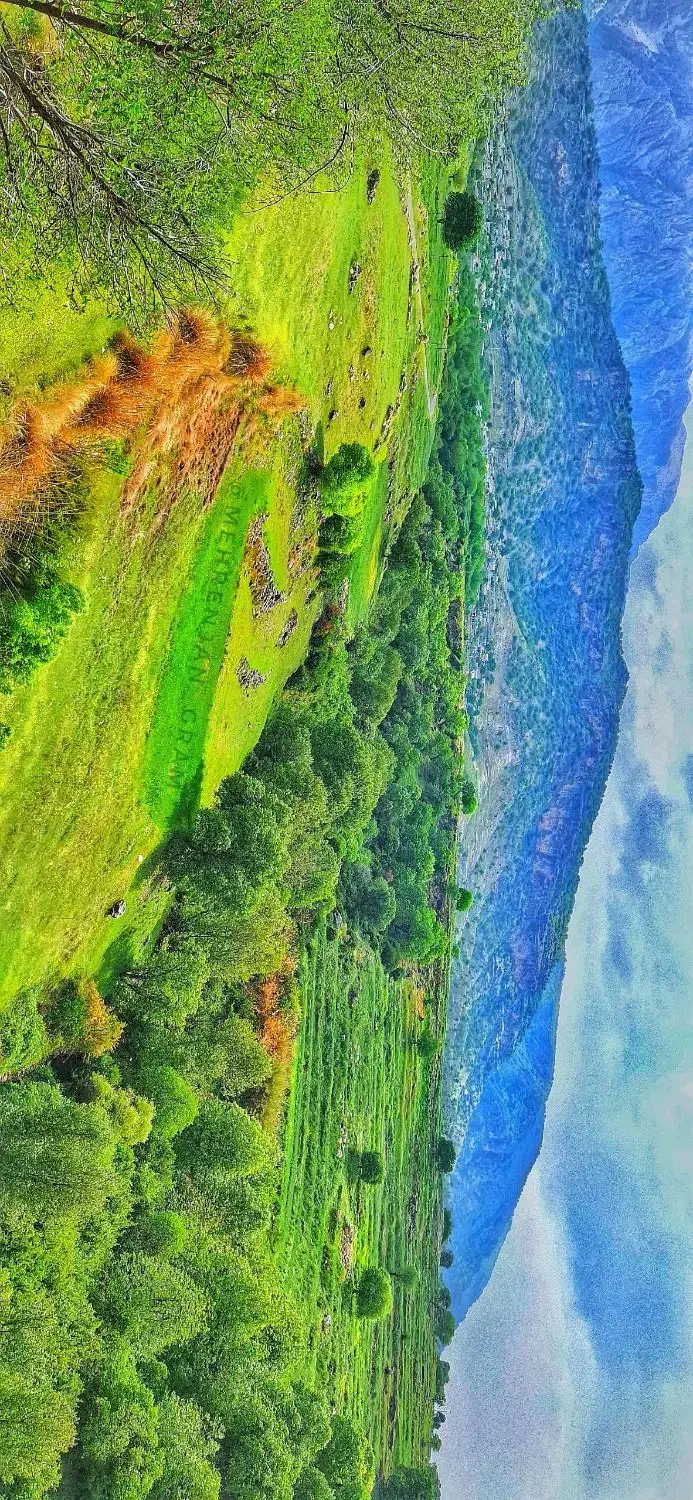 فروش زمین کوچه ۵ مفتح جابه