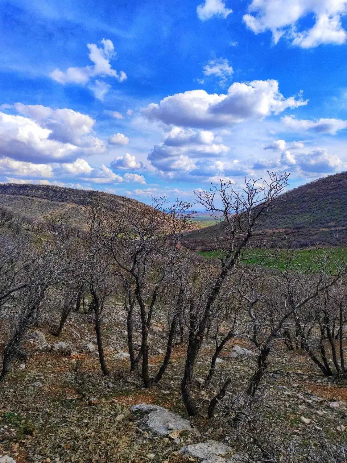 زمین 175 متری