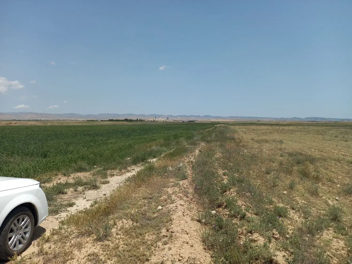 ۸۳۲۱متر راه نمین مناسب تغییر کاربری سند سبز