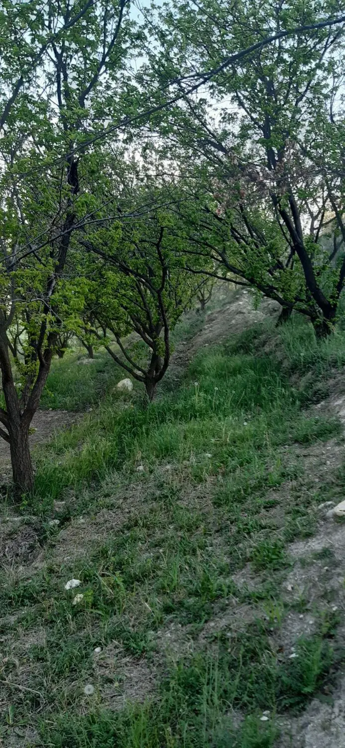 زمین پشته فرودگاه ایلام