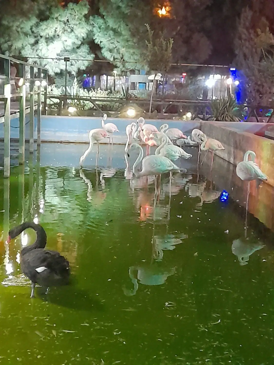 اجاره زیر زمین ۶۰ متر