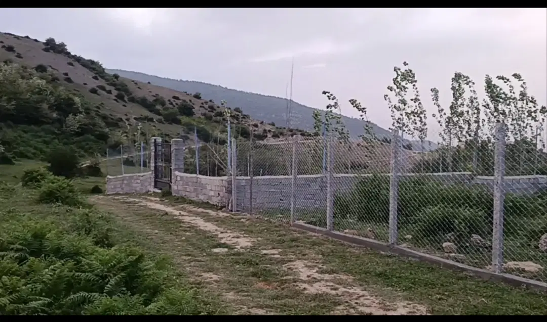 زمین گاو خسه