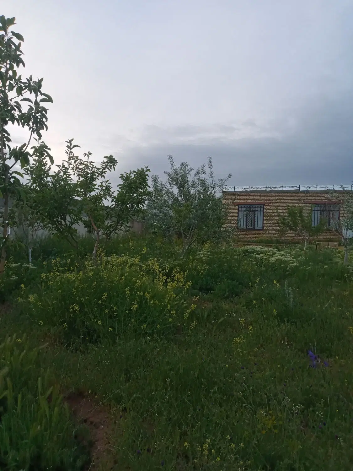 باغ ۱۰۰۰متر برجاده روستای پردل دوبر
