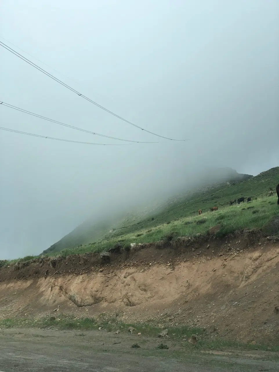 زمین روستای ذاکر (شهرک جدید)