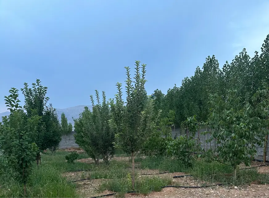 فروش باغشهری هماشهر ۱۰۰۰متری با برق و آب