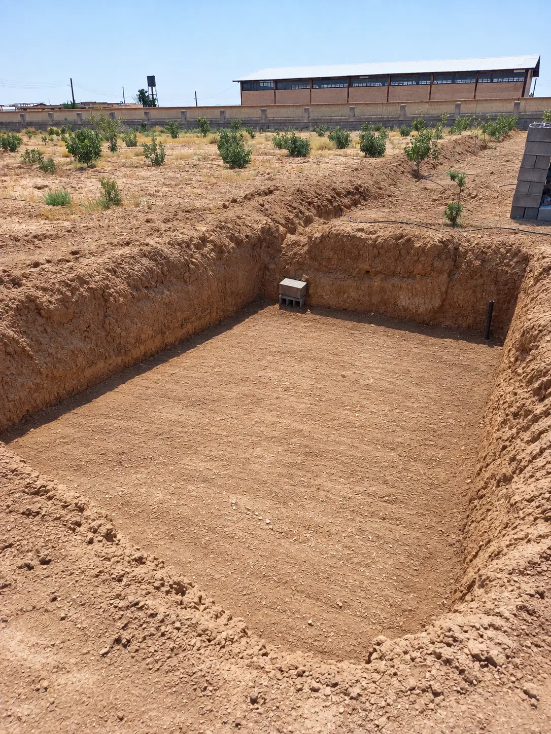 زمین ۱۵۰۰ متری باغ پسته مامونیه