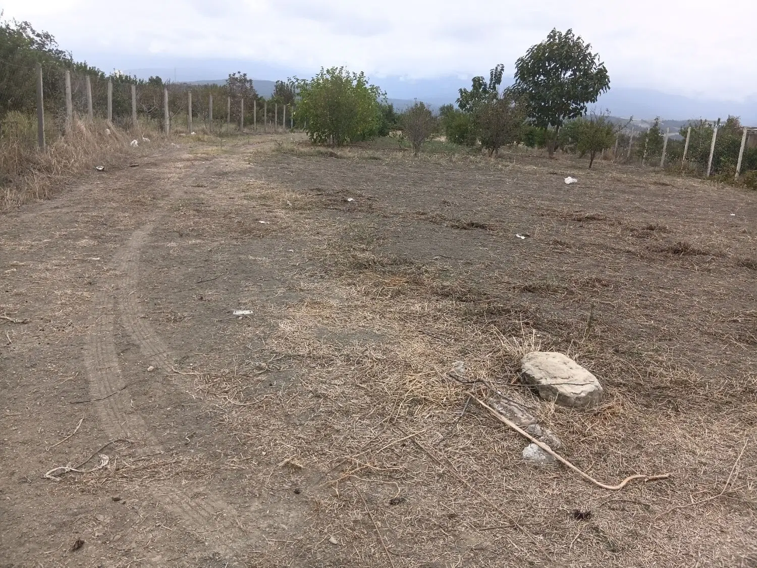 زمین باقی روستای سدن قواره اسفالت