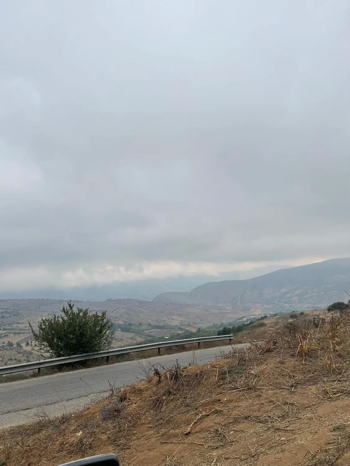 زمین باغی کشاورزی خوش‌موقعیت و‌خوش‌قیمت‌شمال
