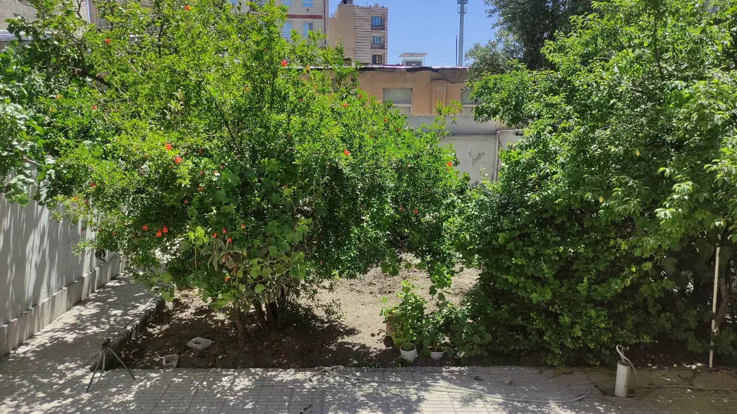 ویلایی 302متر