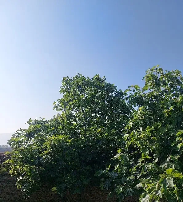 فروش خانه ویلایی