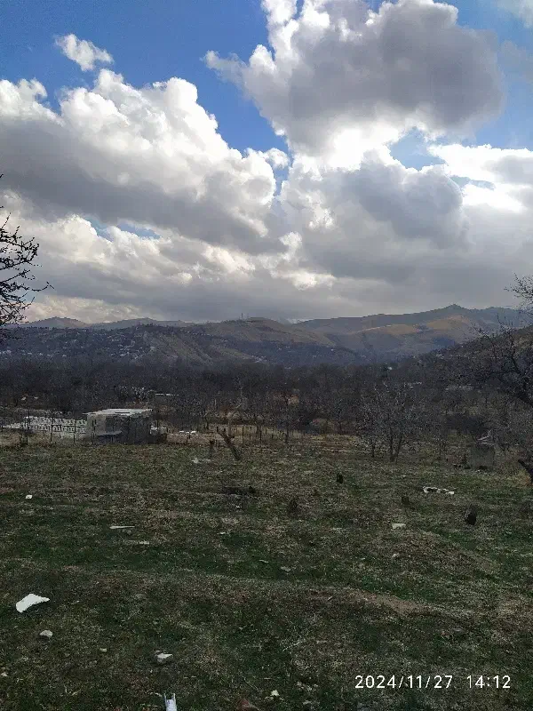 زمین کشاورزی