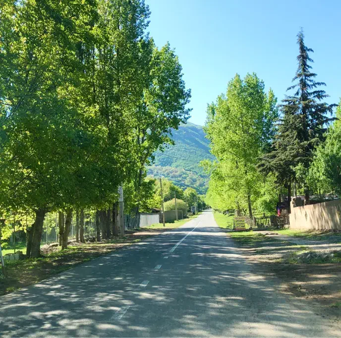 فروش زمین شهرکی۲۴۴متر روستای زیبای کندلوس