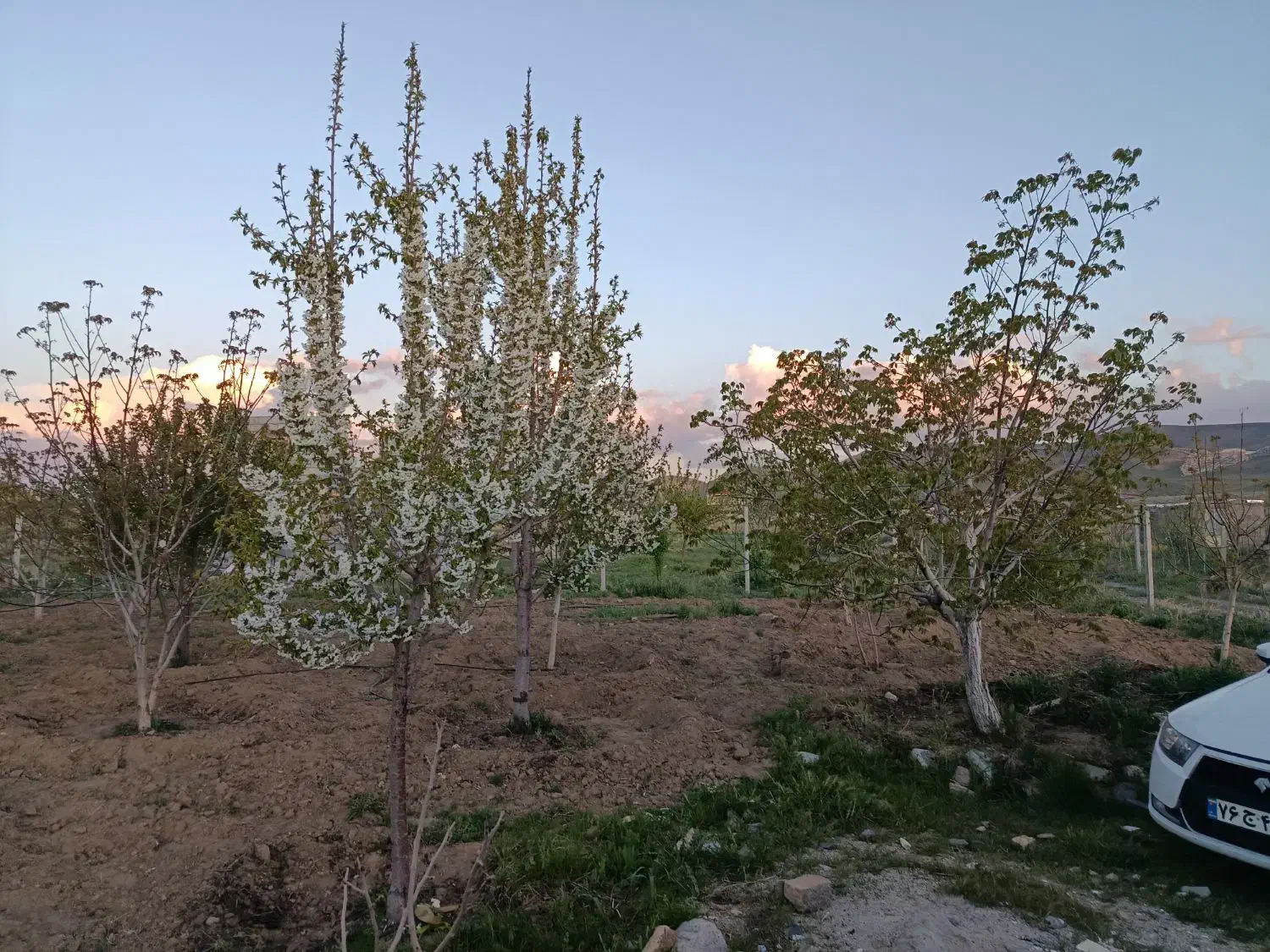 باغ ۳۹۰۰متر سند تک برگ بعد از بیمارستان ولیان