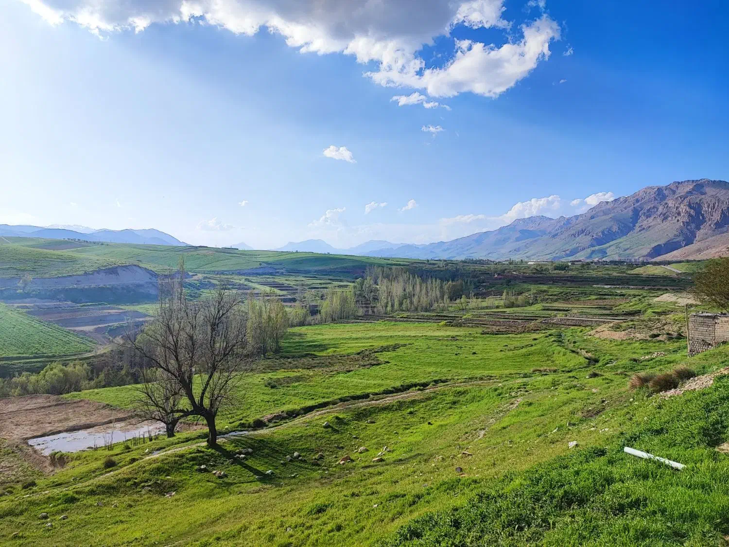 زمین ویلایی