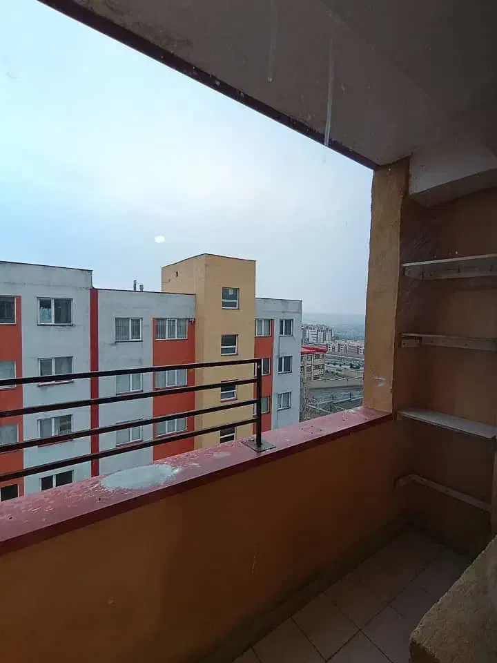 همخونه خانم