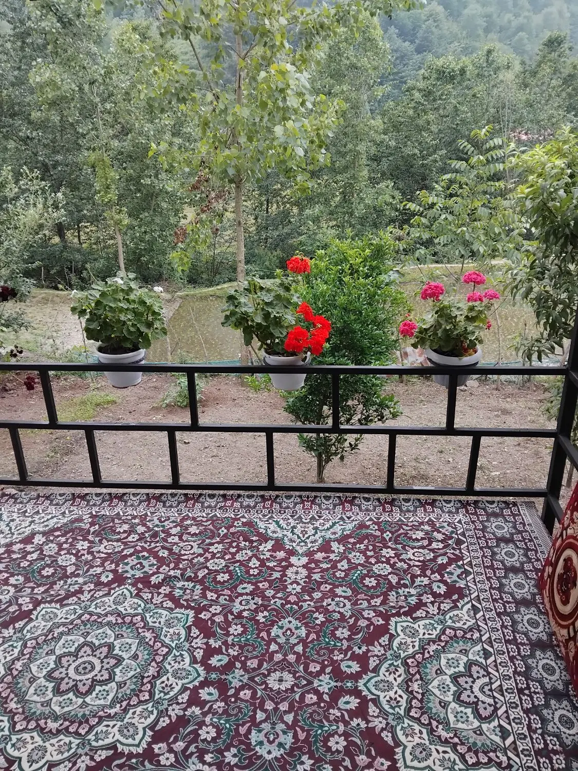 ویلا جنگلی لب رودخونه