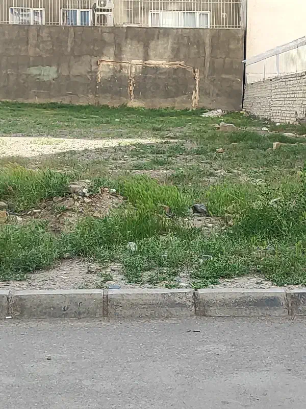زمین فاز تجاری