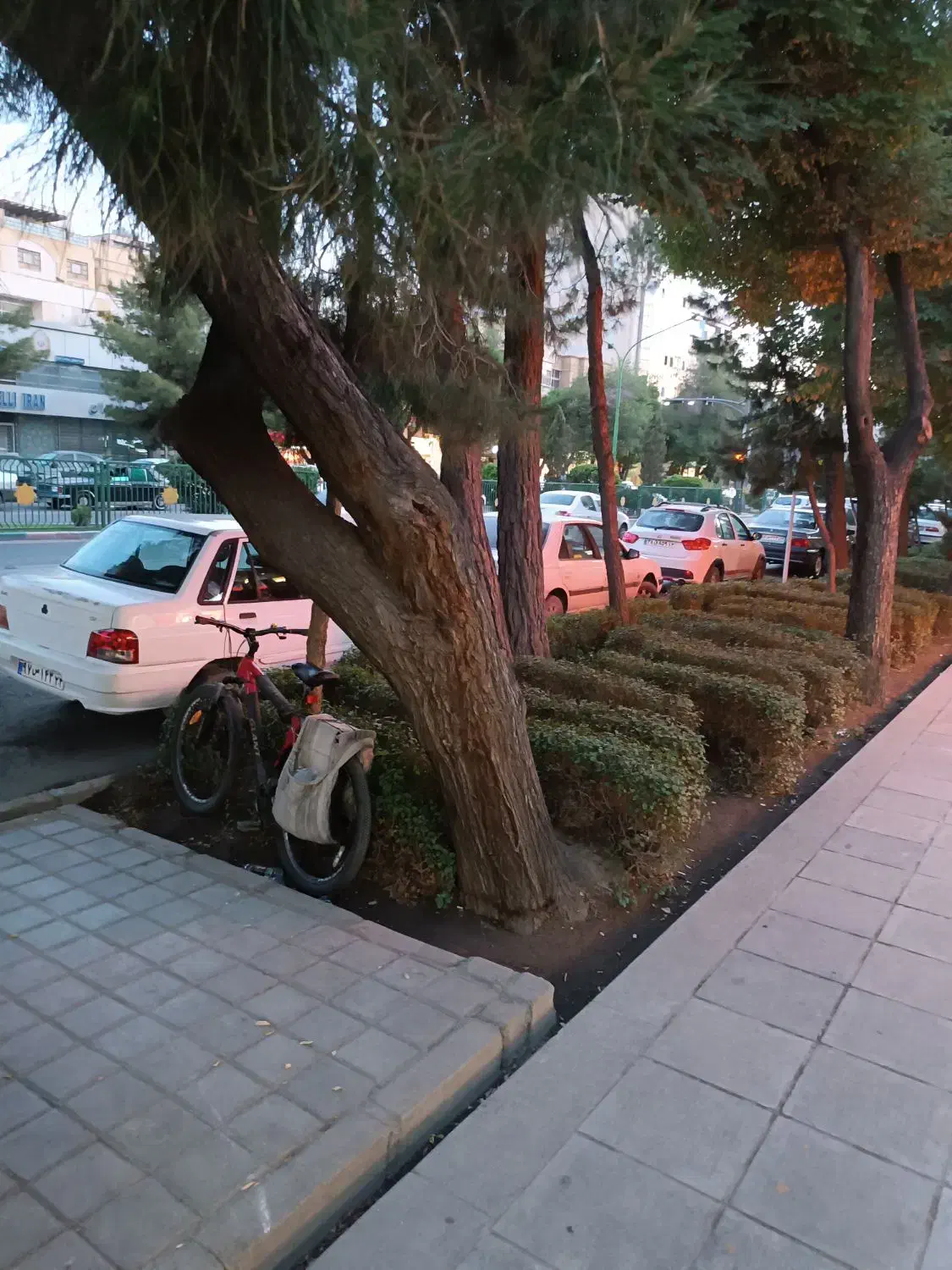 مغازه
