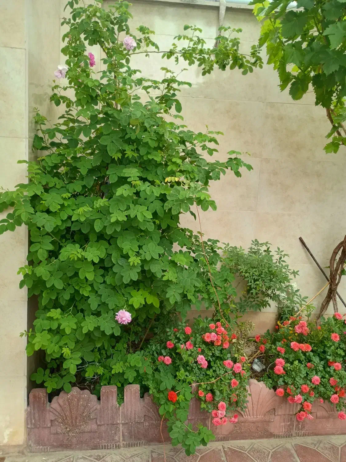 خونه ویلایی