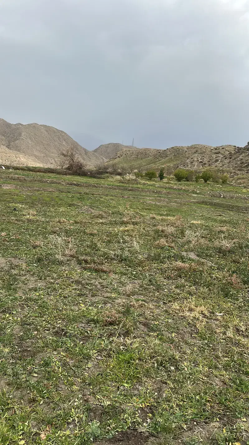 زمین مسکونی بلوار دامغانی