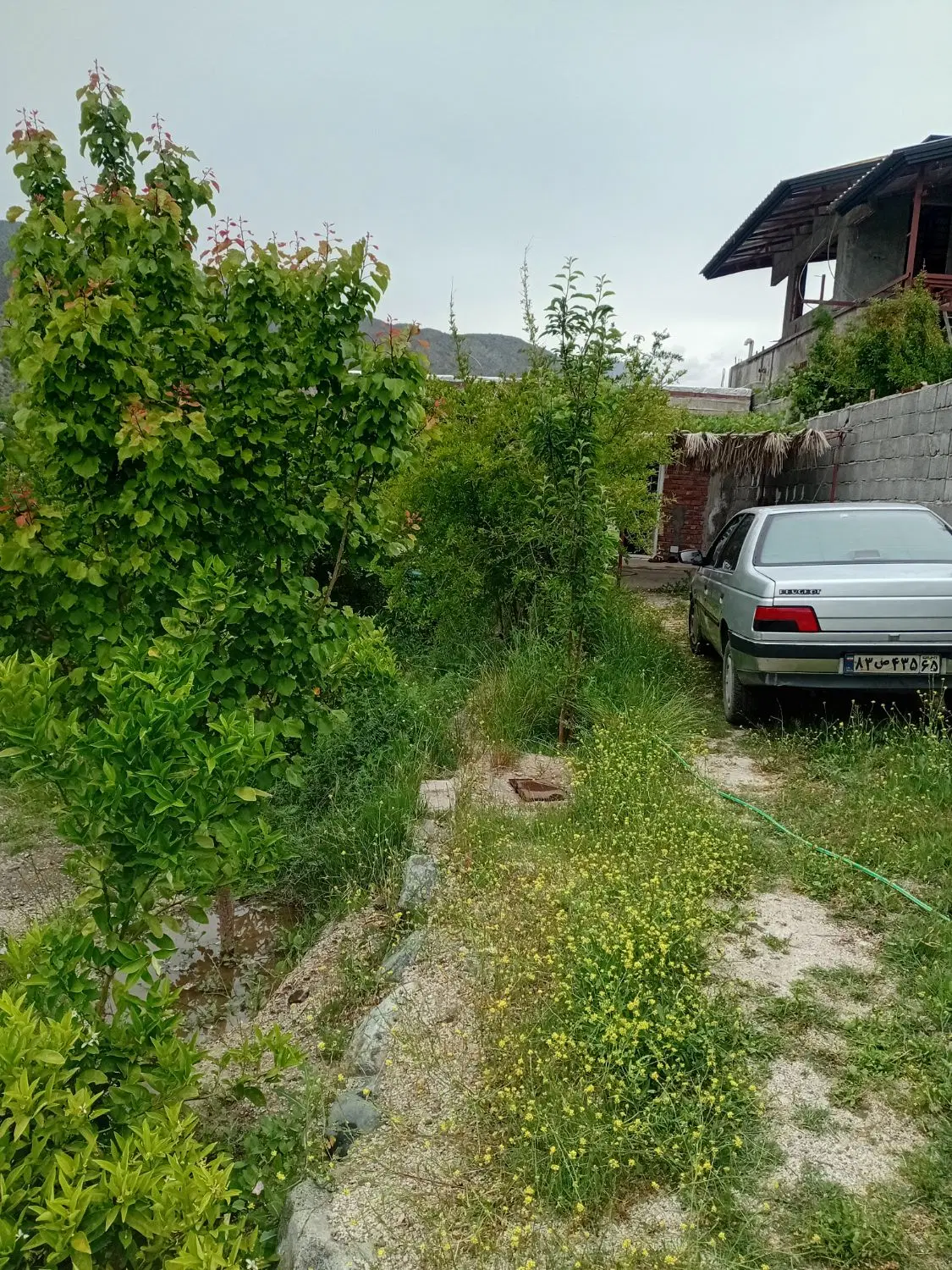 باغ ویلای مسکونی دلفارد