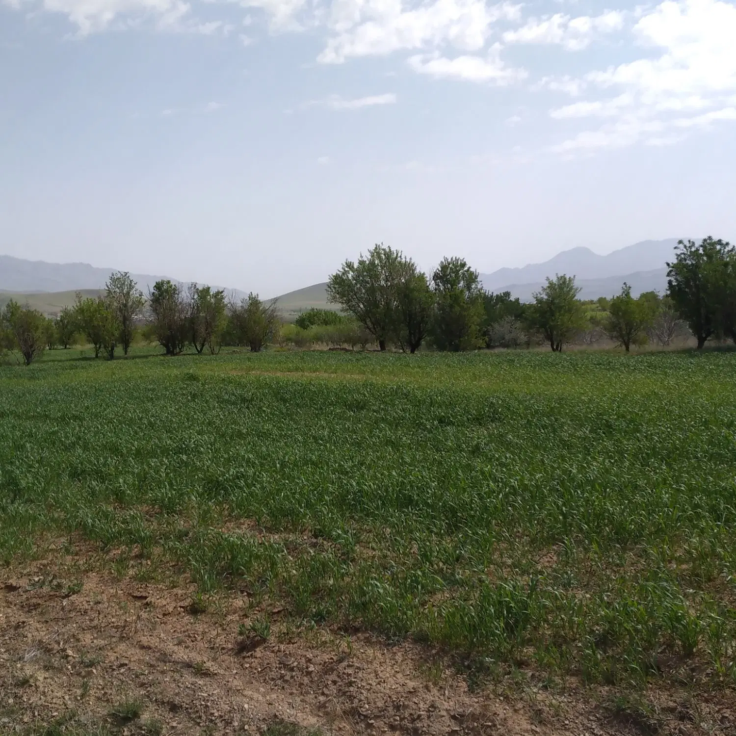 ملک کشاورزی