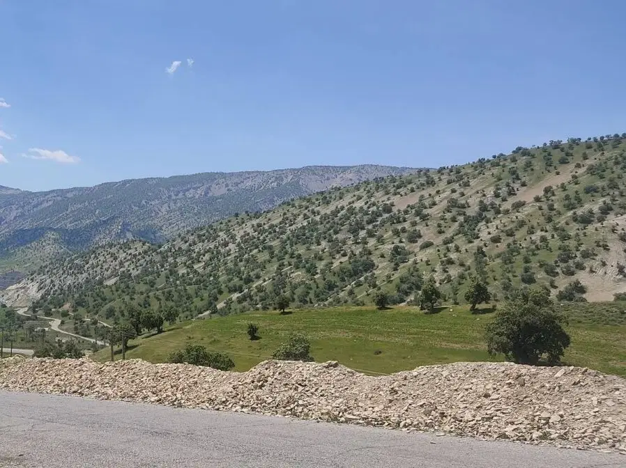 زمین ۱۲۶ متری چغاسبز