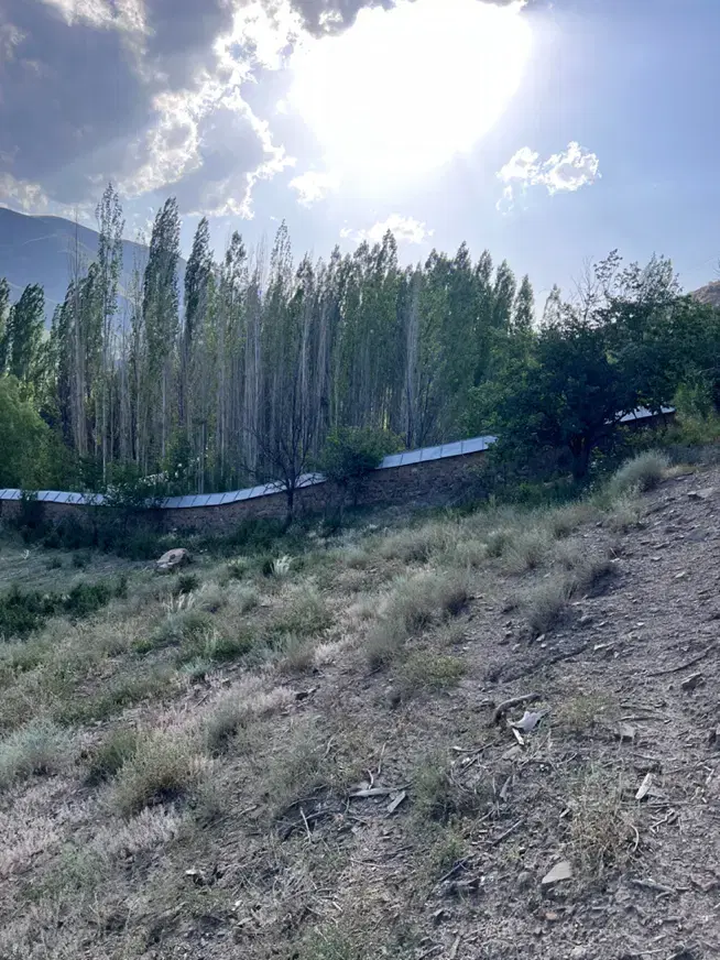 زمین کشاورزی