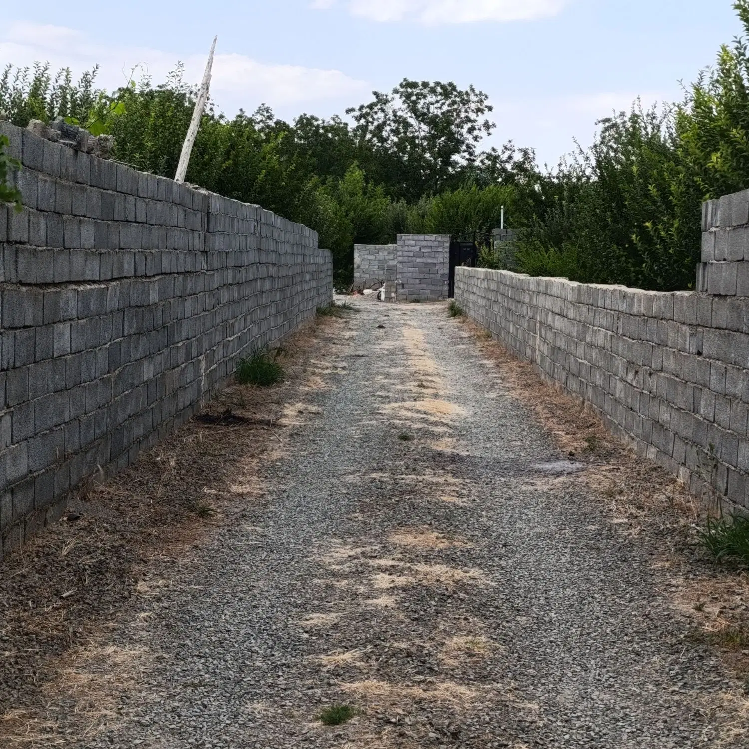 باغ در روستای قره گوز