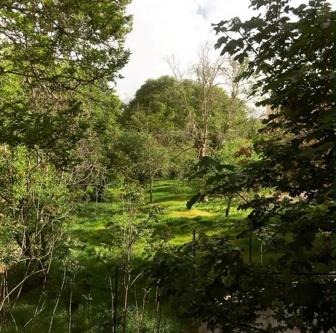 فرشته _  ۱۱۰ متر
