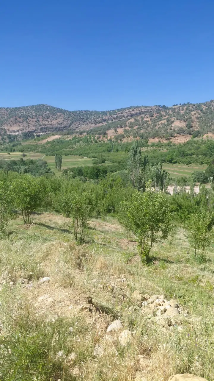 فروش زمین باغ شهری