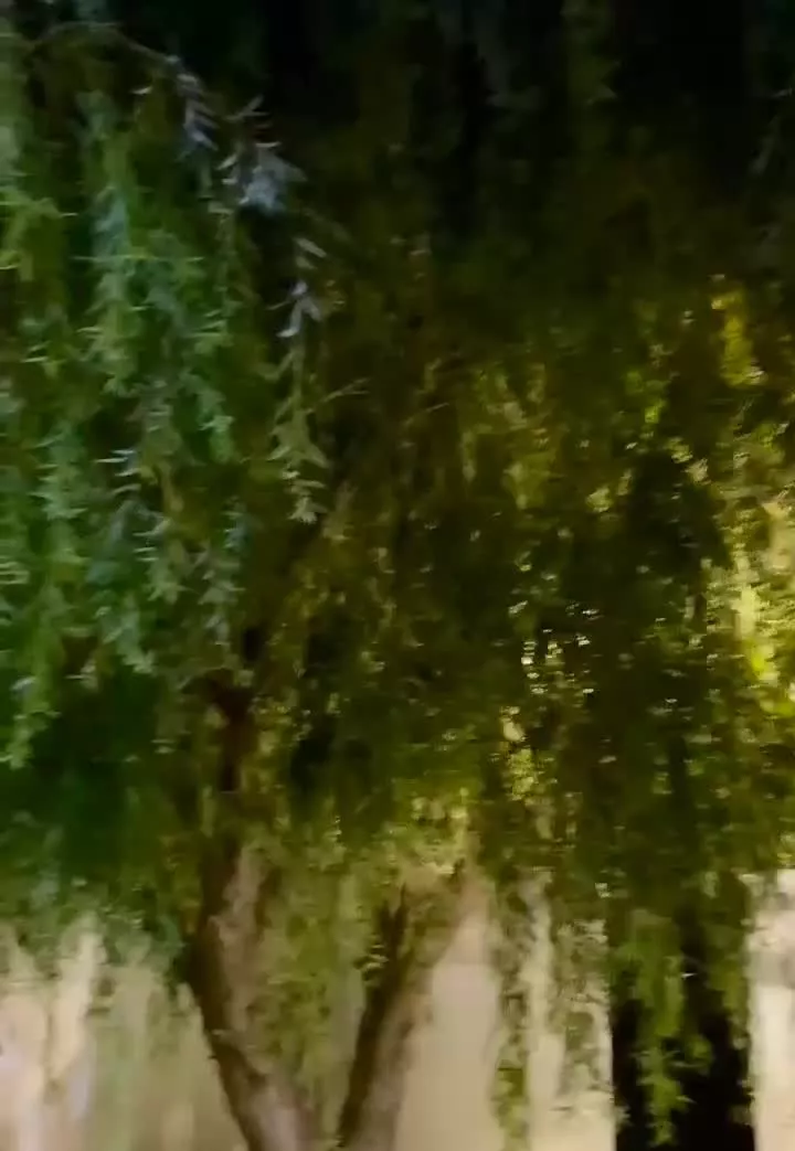 کلبه استخردار
