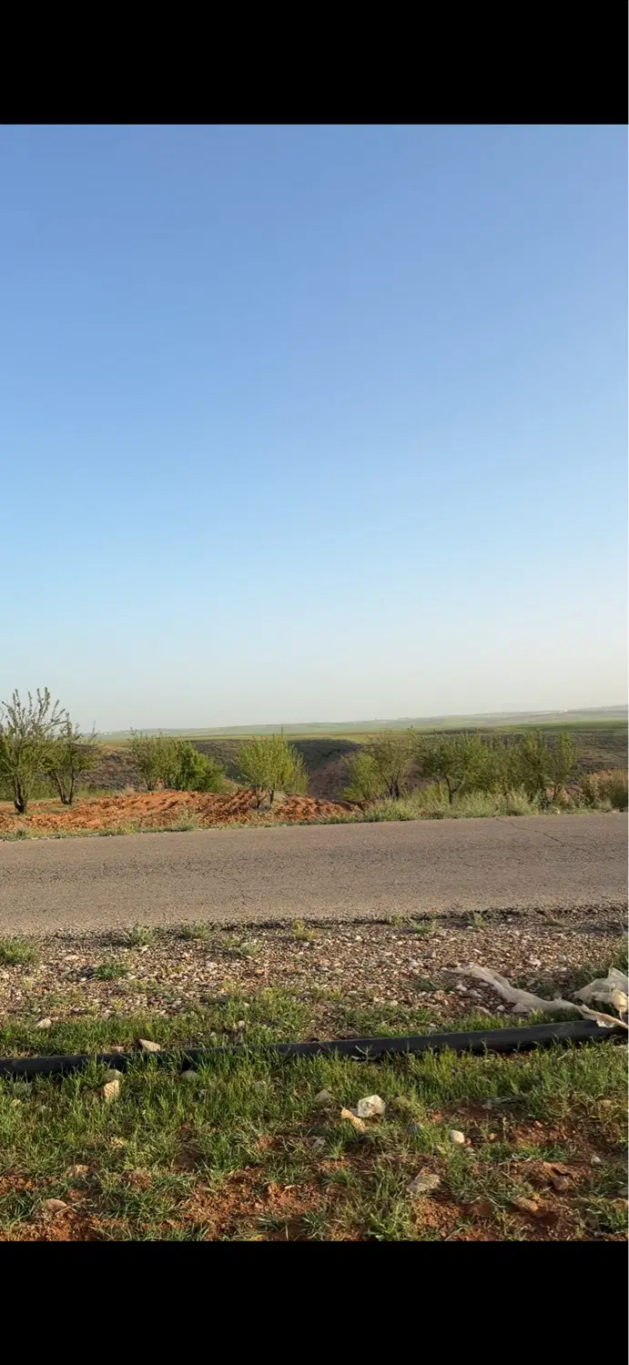 باغ کودیان