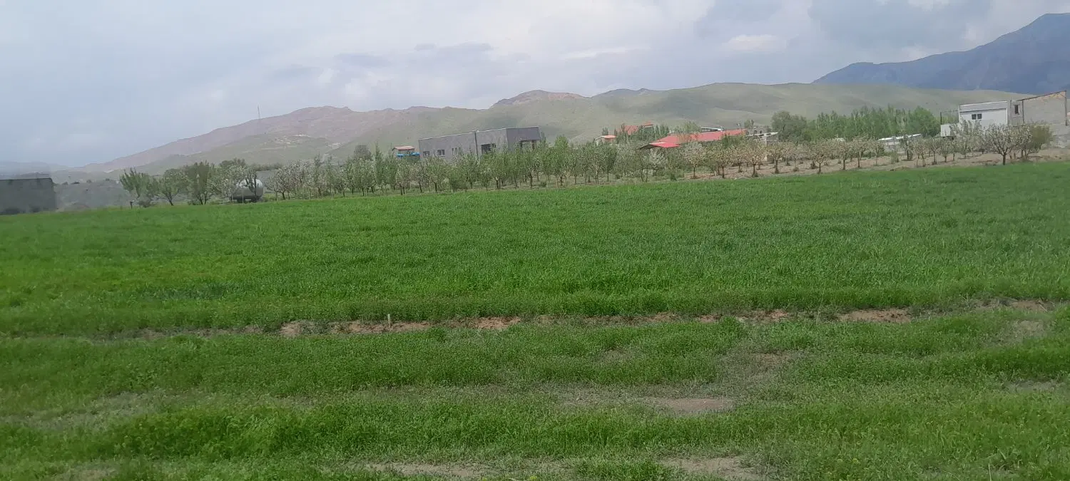 فروش زمین ویلایی سعیدآباد