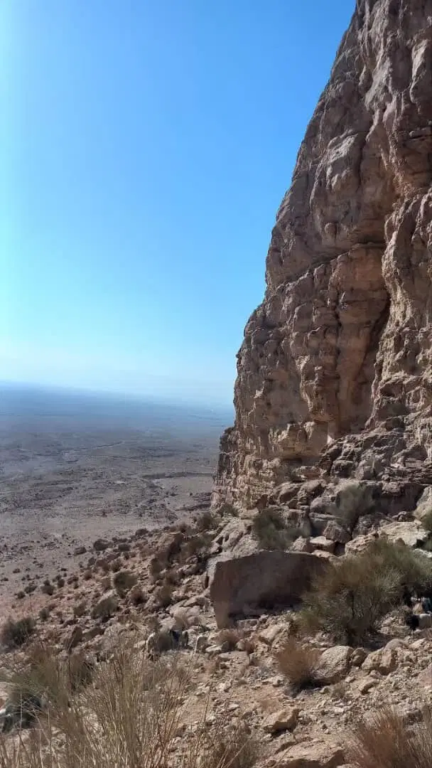 باغ ویلا