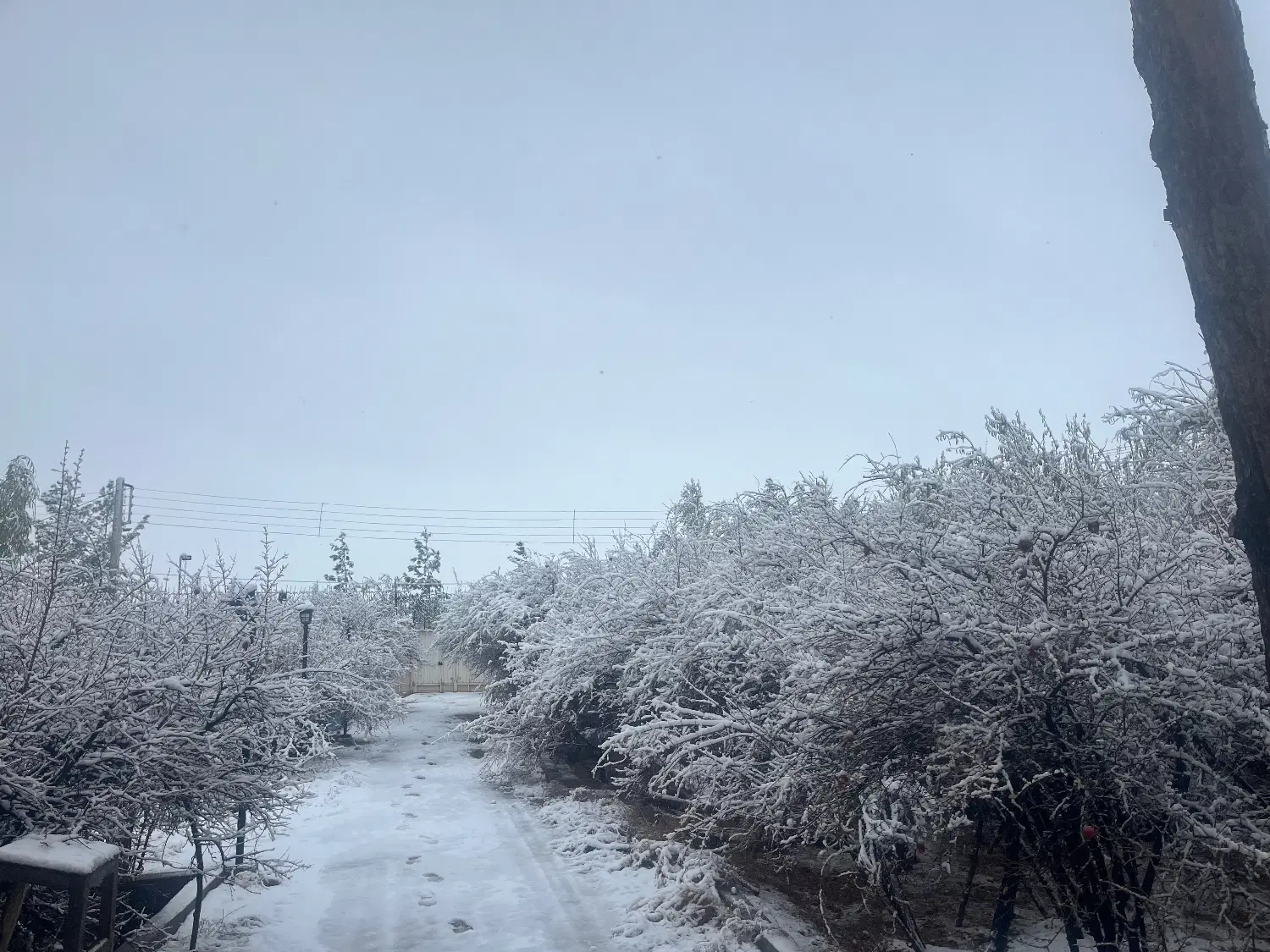 مرق کوی راه حق زمین مناسب برای ساخت ویلا و خانه
