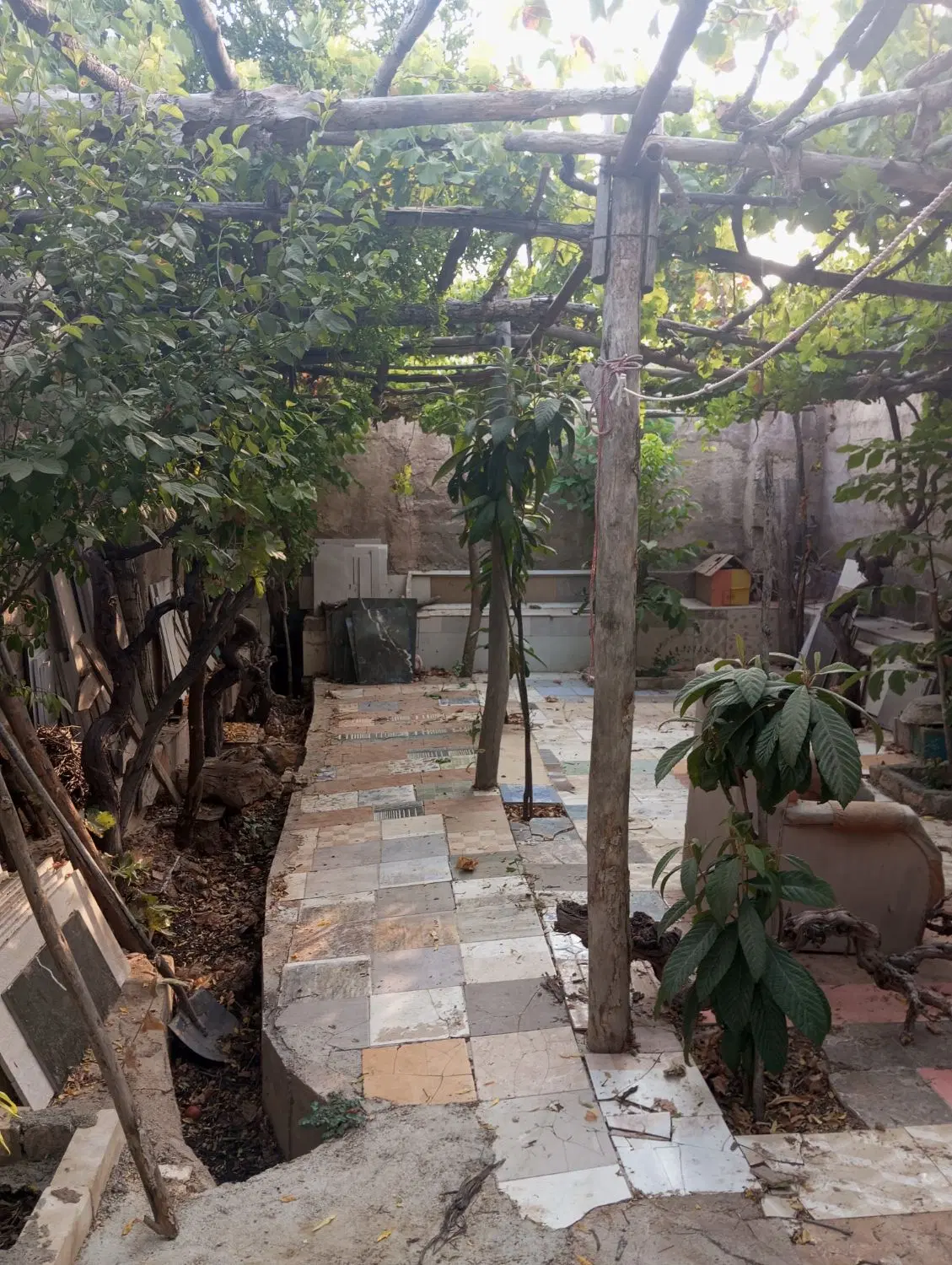 باغچه