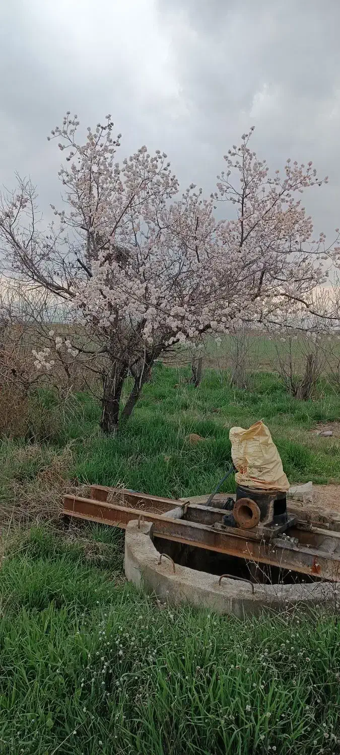 زمین کشاورزی