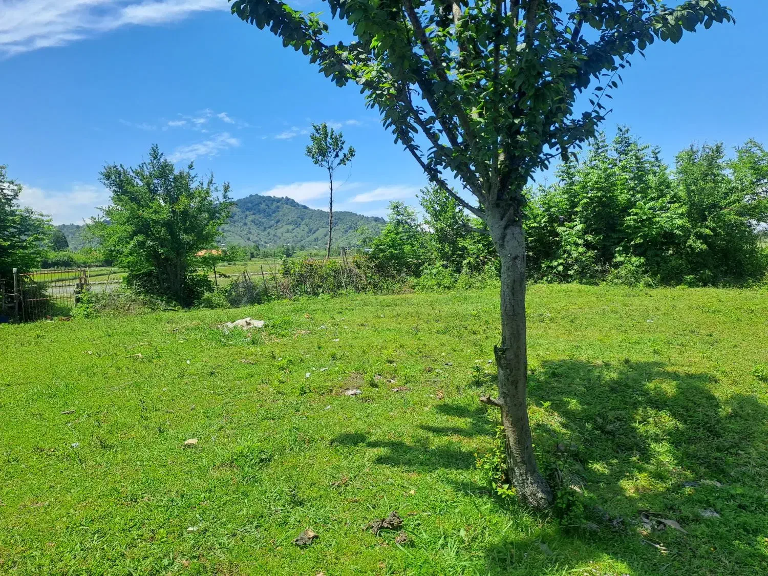 زمین ۴۵۰ متری با نامه بنیاد _محمدی خسروابادی