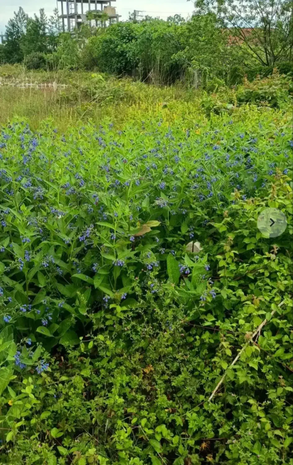 فروش زمین مسکونی روبه روی بلوار امام خمینی