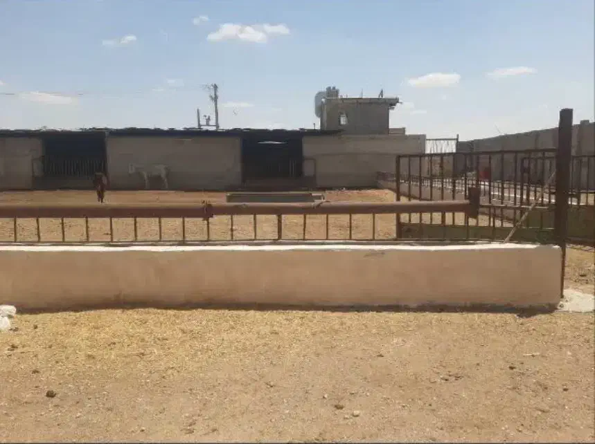 دامداری‌صنعتی