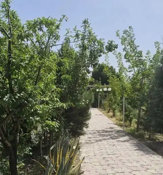 زمین تجاری مسکونی تاکستان فرهنگ شهر