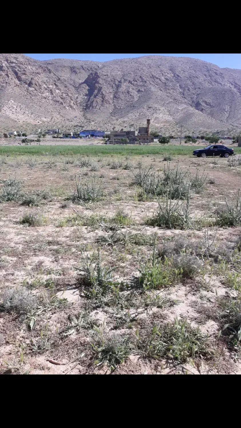 زمین زراعی،باغی