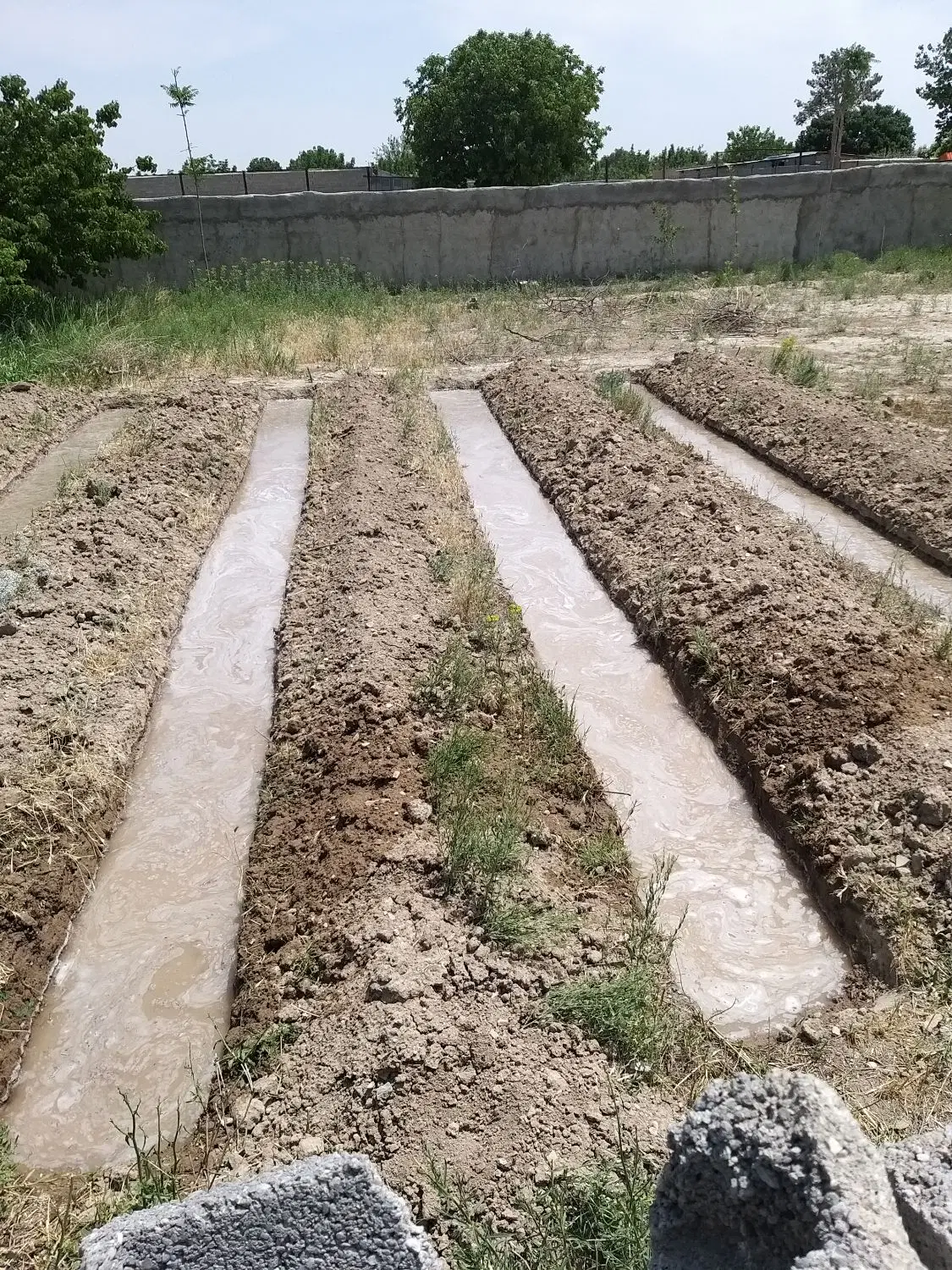 ۲۶۵ متر ۴ دیواری ملارد